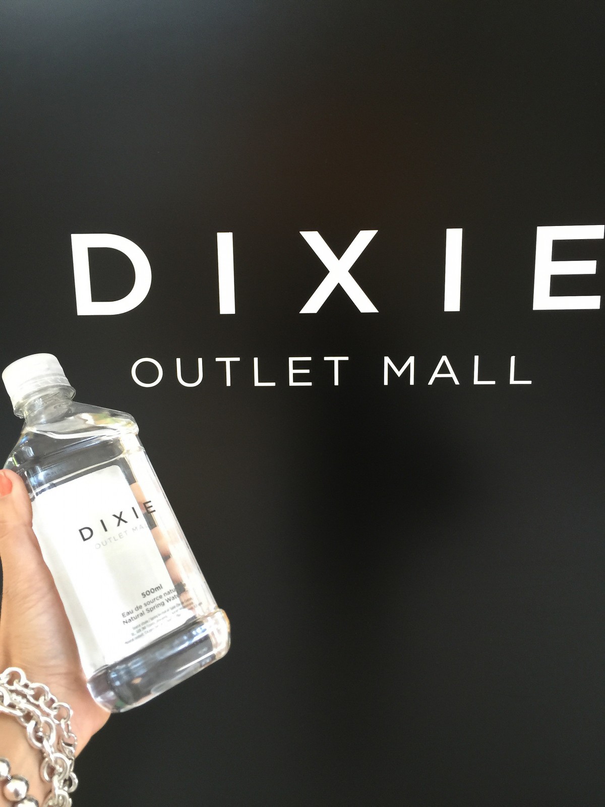 sparkleshinyloveshe who hunts finds dixie outlet mall blogger challenge