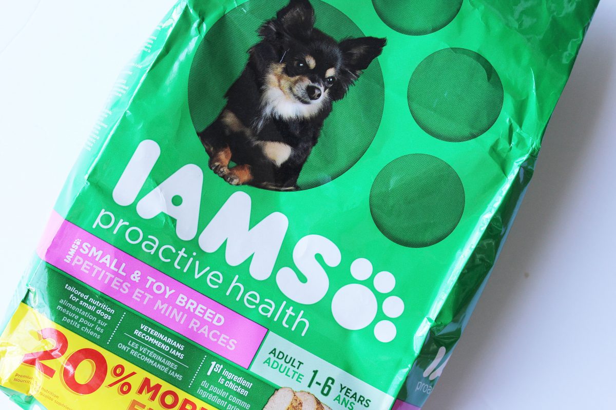 Taking Care of Small Dog Needs + Enter to Win a Small Dog Prize Package!