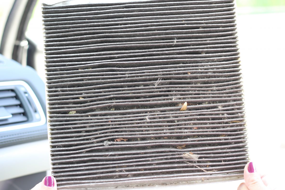What a dirty cabin air filter looks like