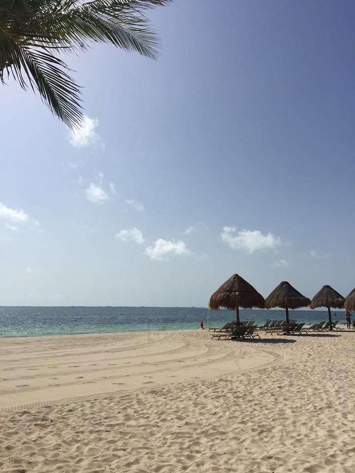 shot of the beach in Mexico from Finest Playa Mujures Resort