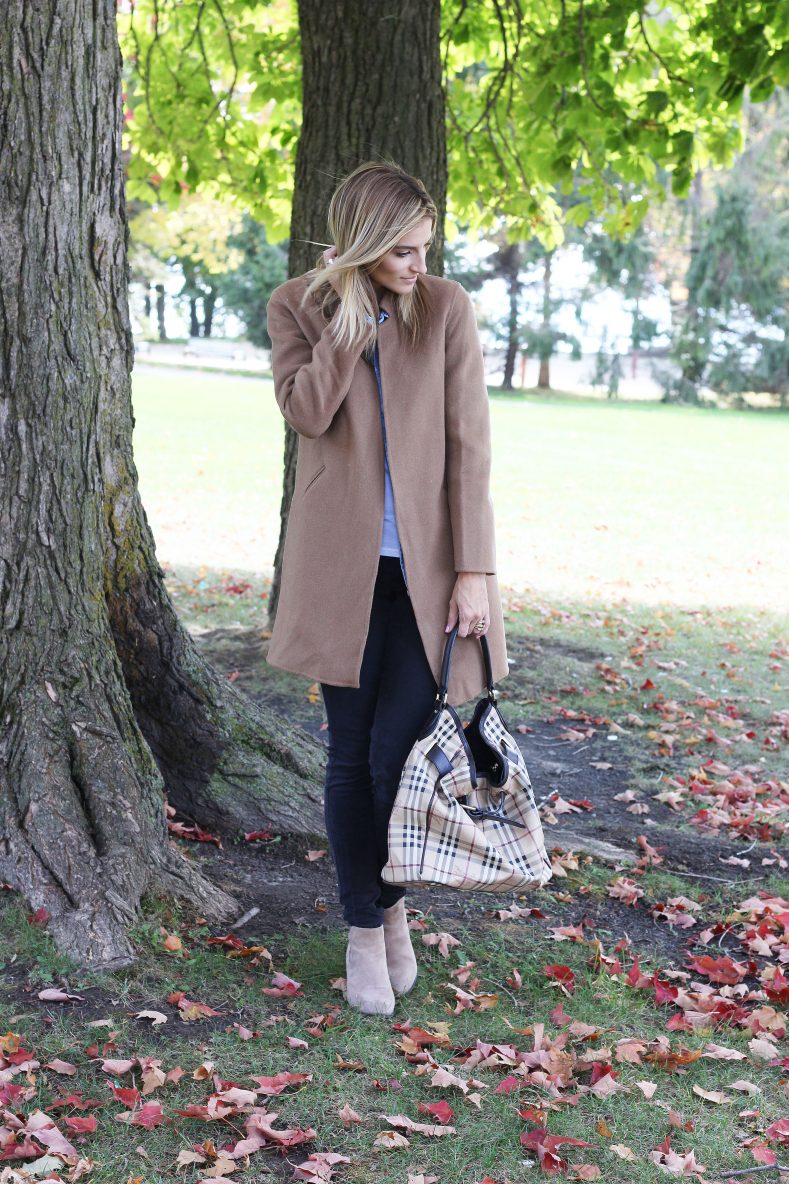 Camel and Chambray