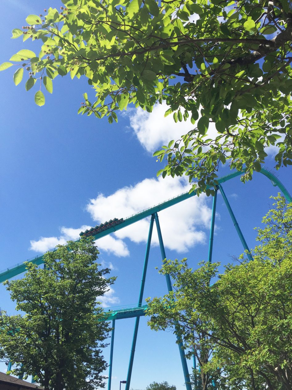 Tips for Spending the Day at Canada's Wonderland with a Toddler