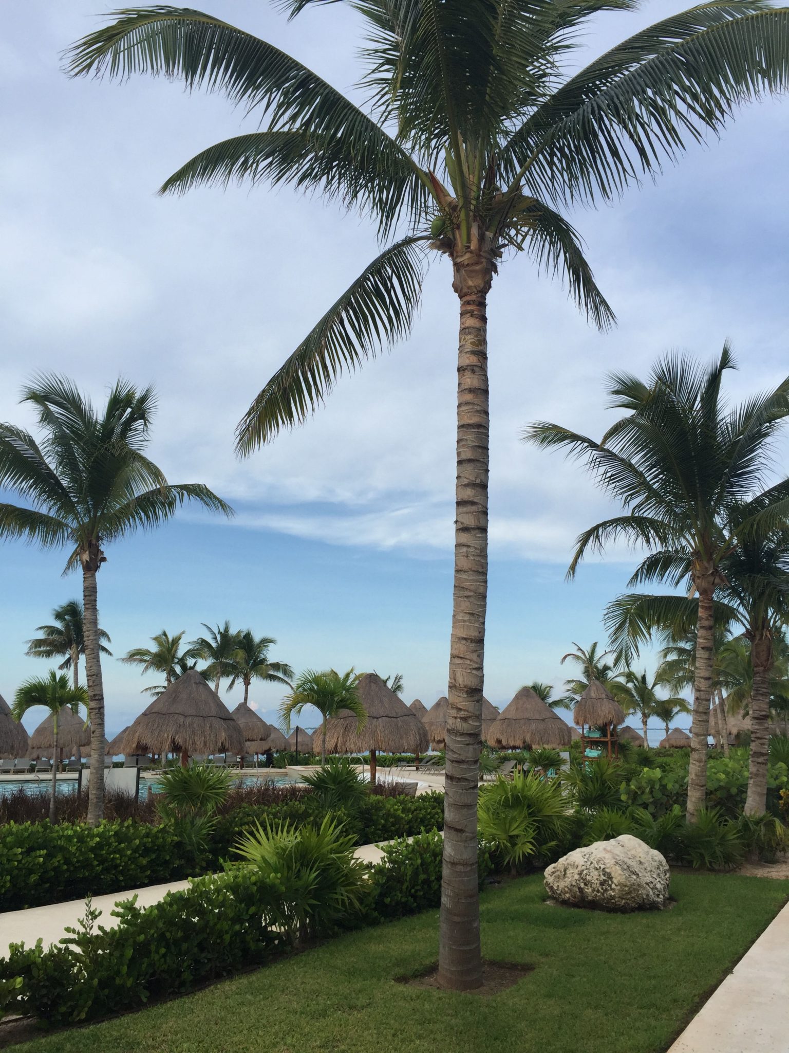 Review of the Finest Playa Mujeres