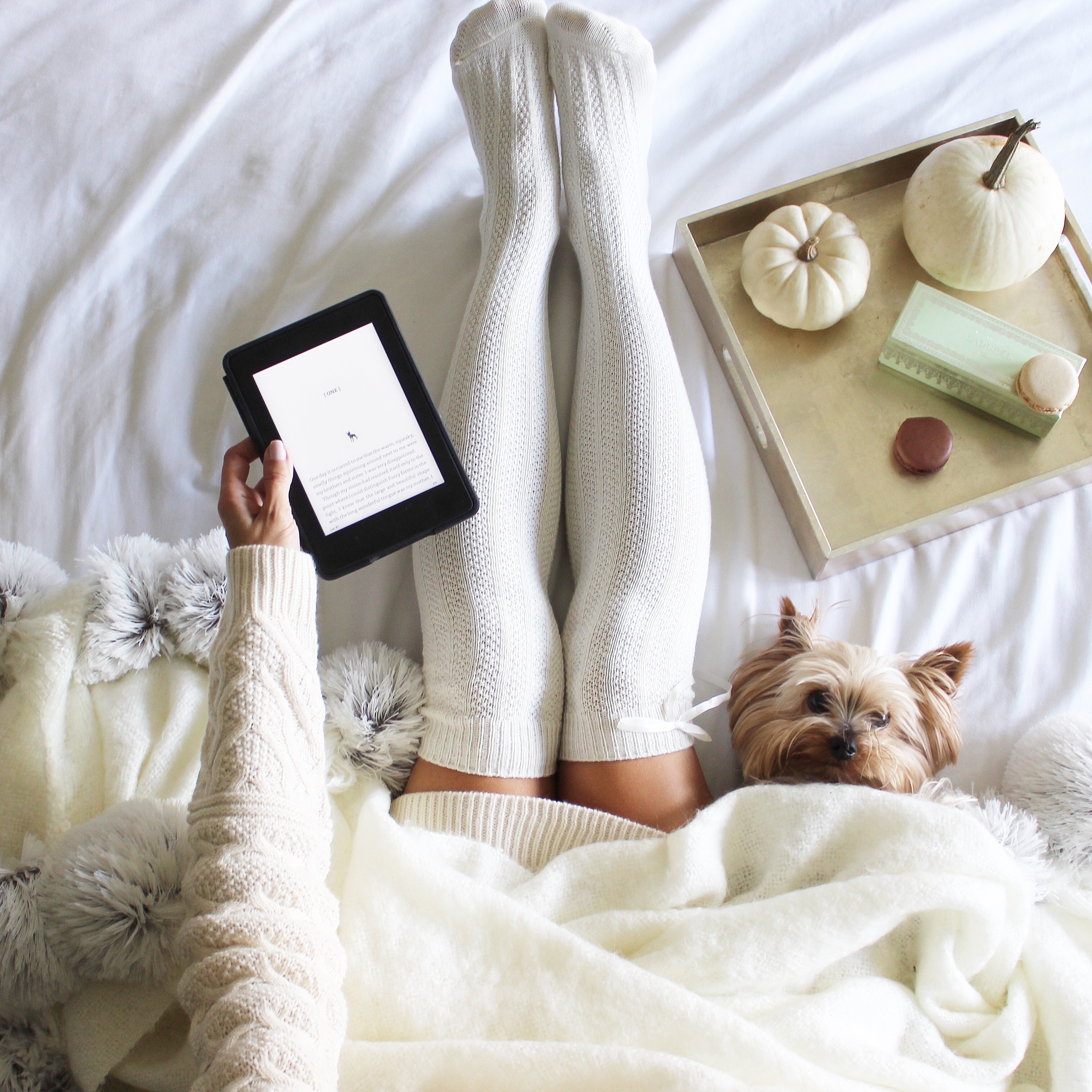 cozy throw for fall with pom moms and a yorkie plus my review of the Kindle