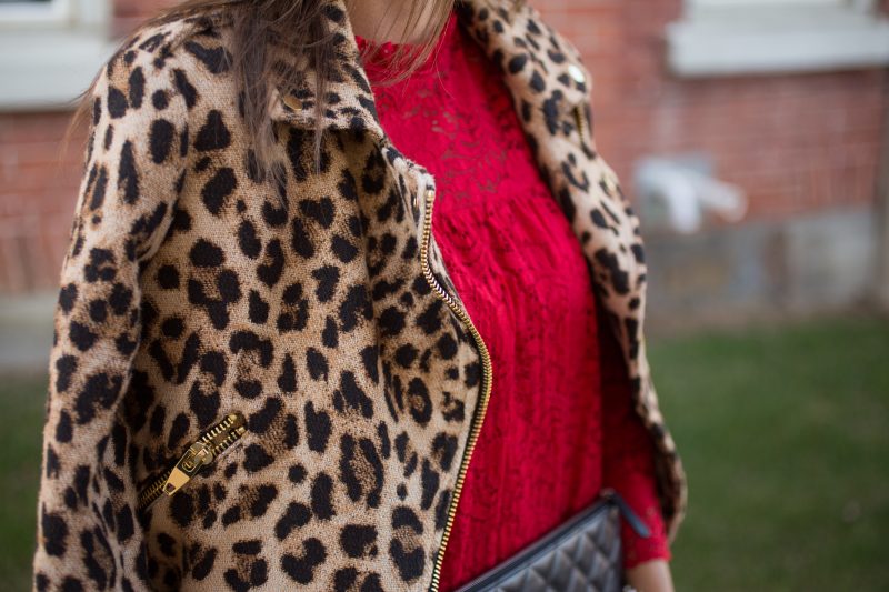 holiday look with leopard moto jacket and red lace dress sparkleshinylove