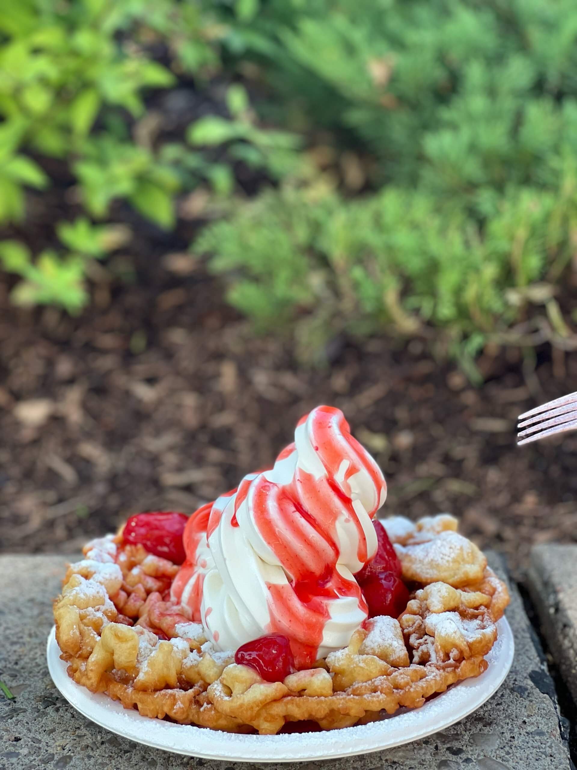 The best snacks at Canada’s Wonderland