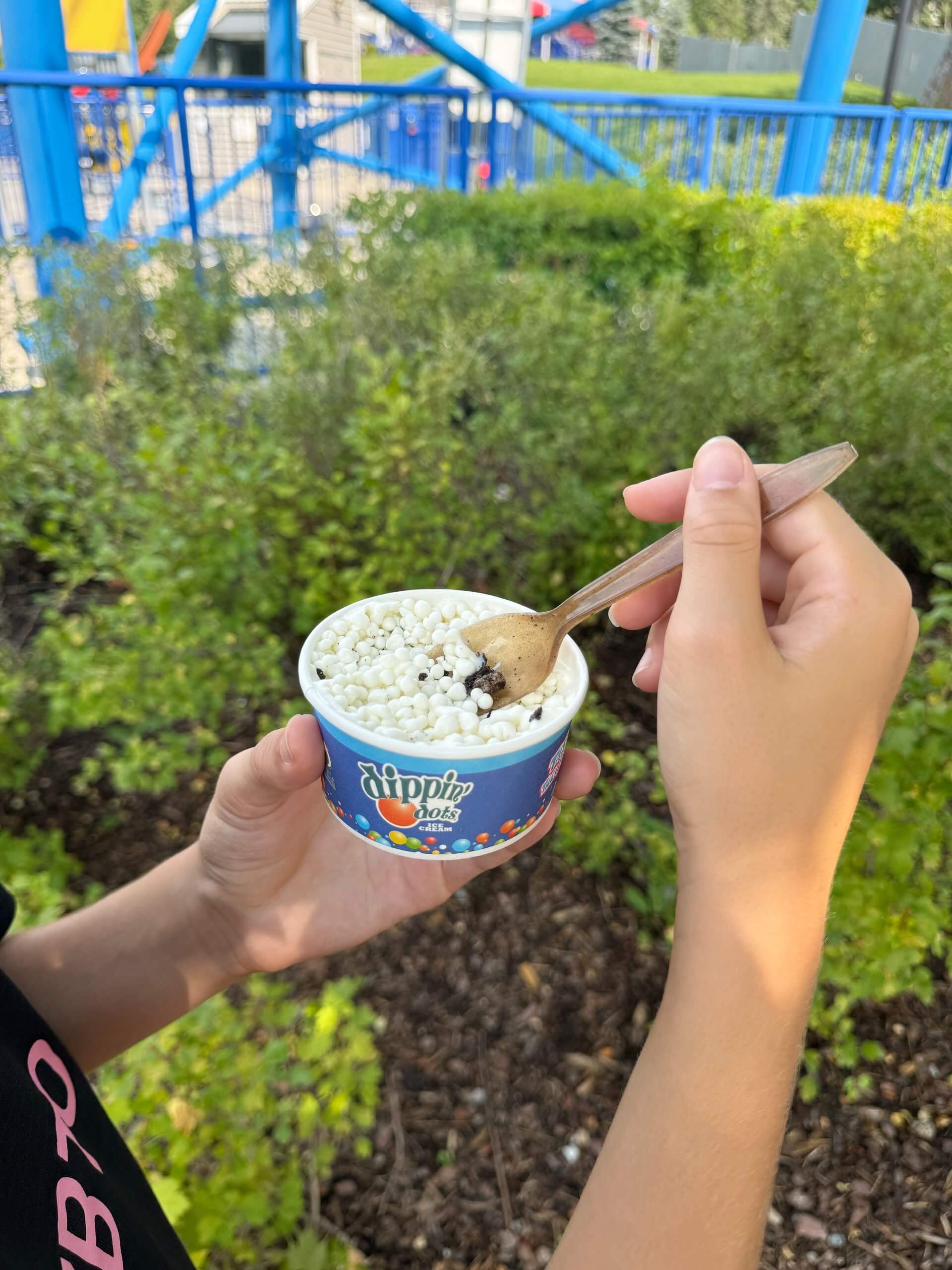 The best snacks at Canada’s Wonderland