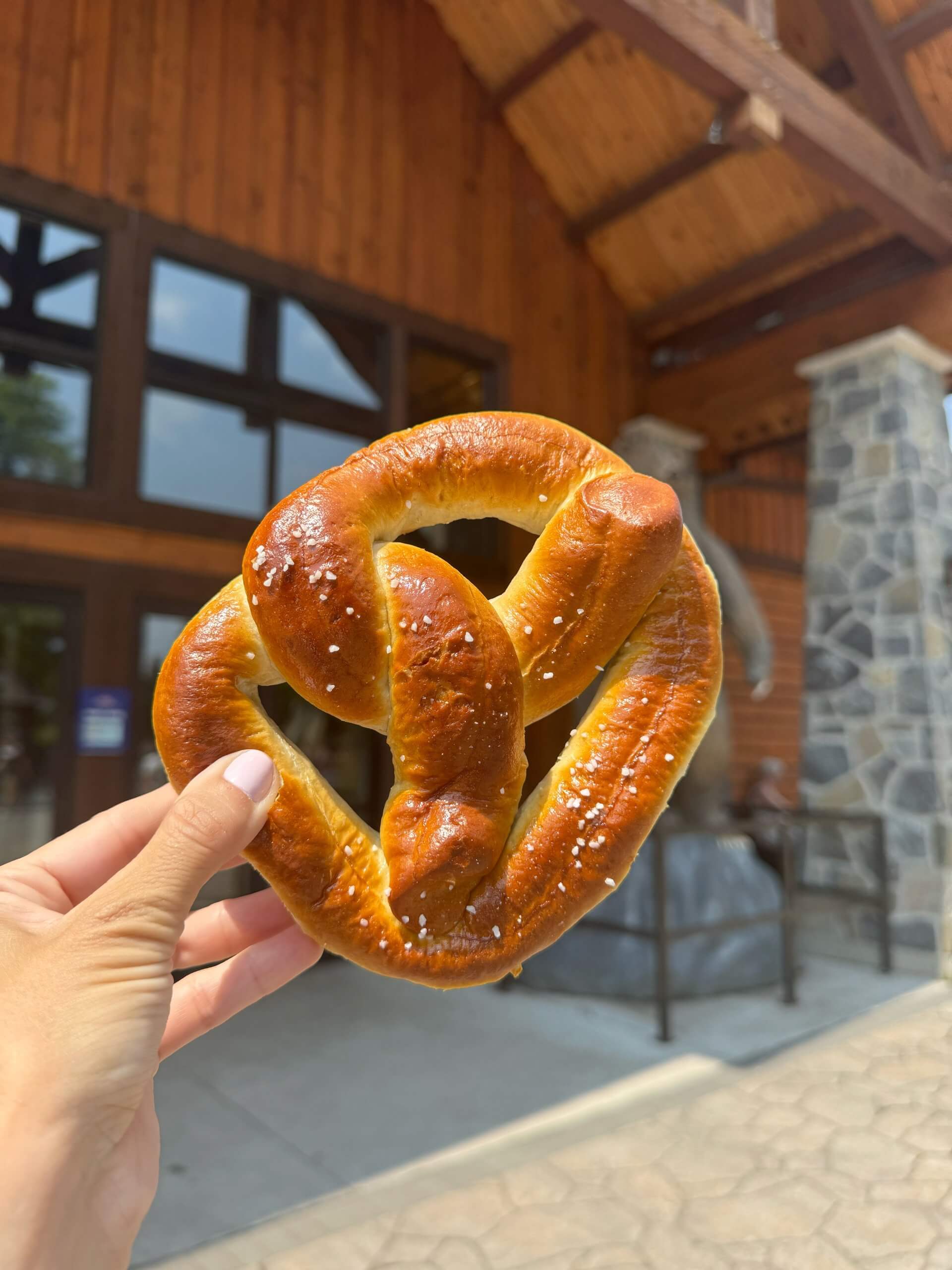 Best snacks from
Canada’s wonderland 