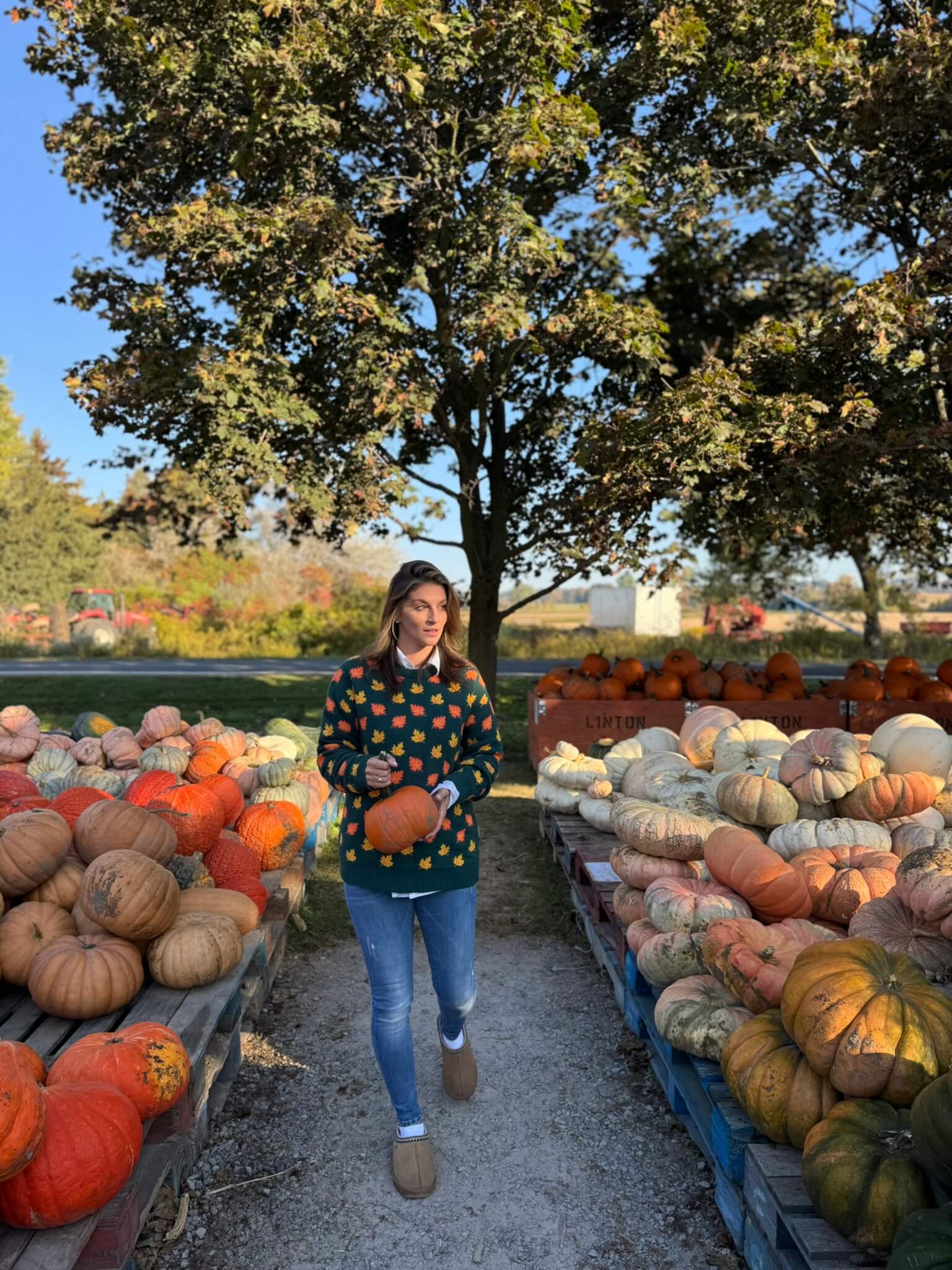 Fall Leaves sweater; durham region fall farms; pumpkin patch durham region; Linton Farm Durham Region; mandy furnis sparkleshinylove