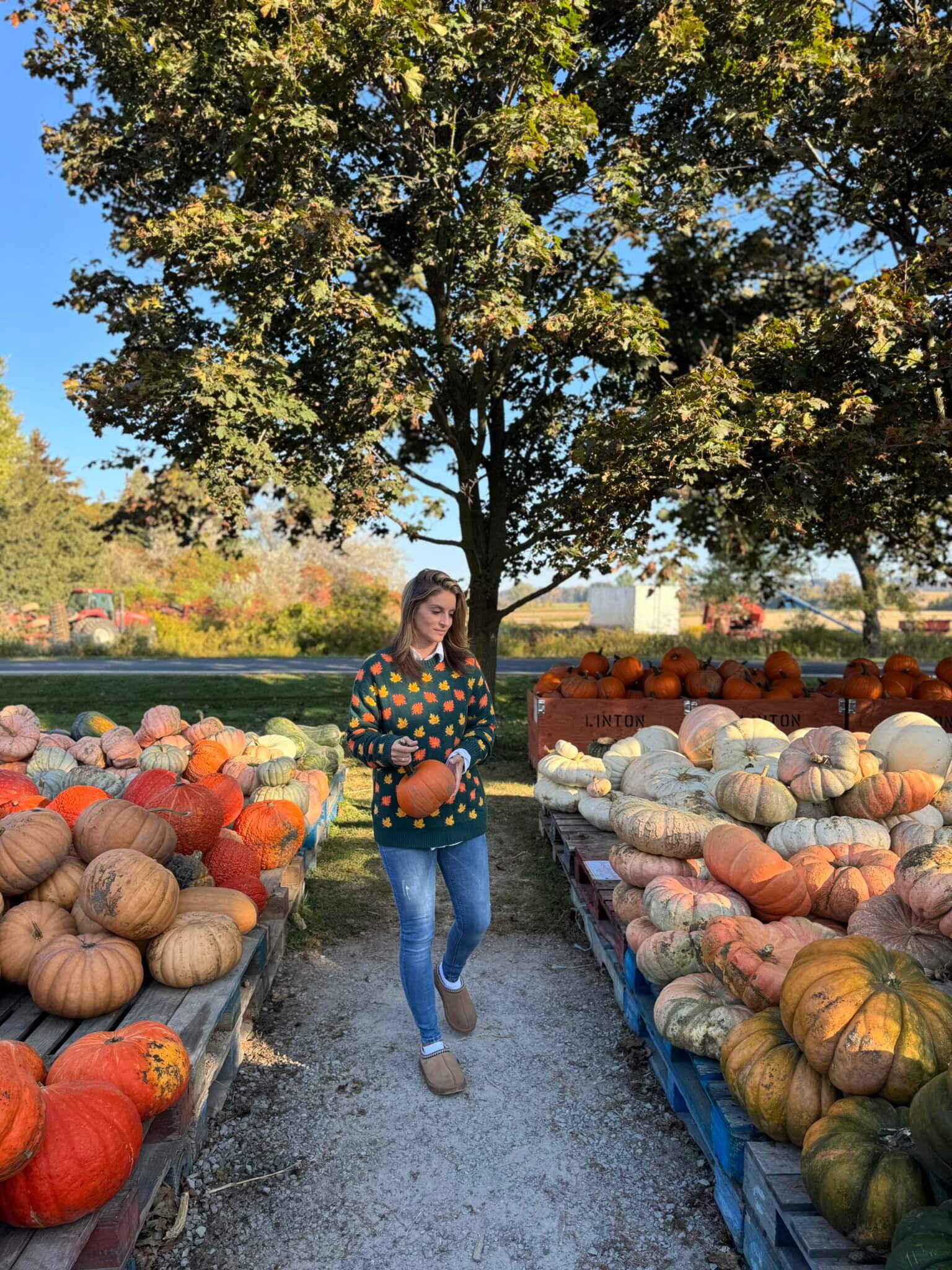 Fall Leaves sweater; durham region fall farms; pumpkin patch durham region; Linton Farm Durham Region; mandy furnis sparkleshinylove