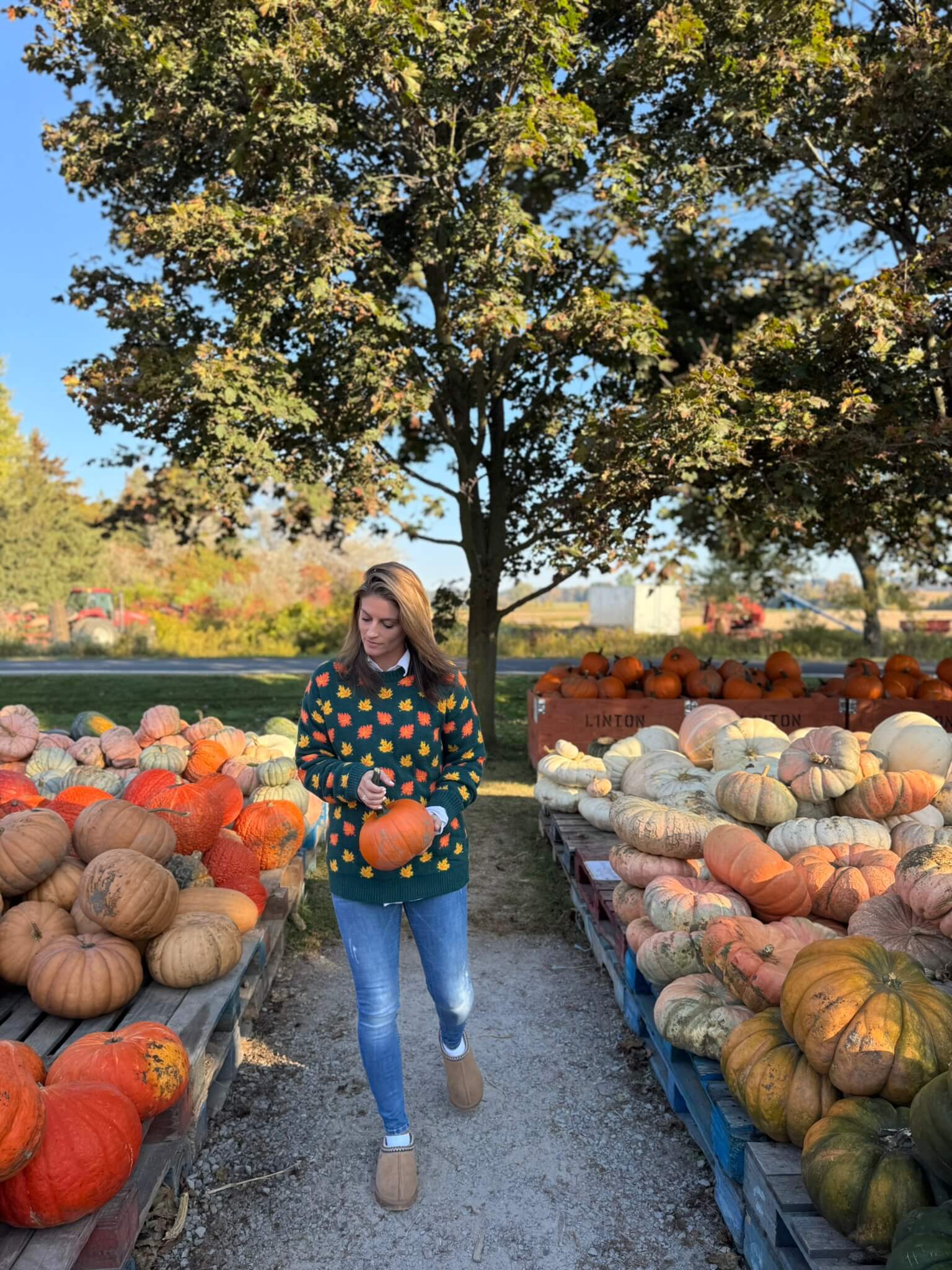 Fall Leaves sweater; durham region fall farms; pumpkin patch durham region; Linton Farm Durham Region; mandy furnis sparkleshinylove