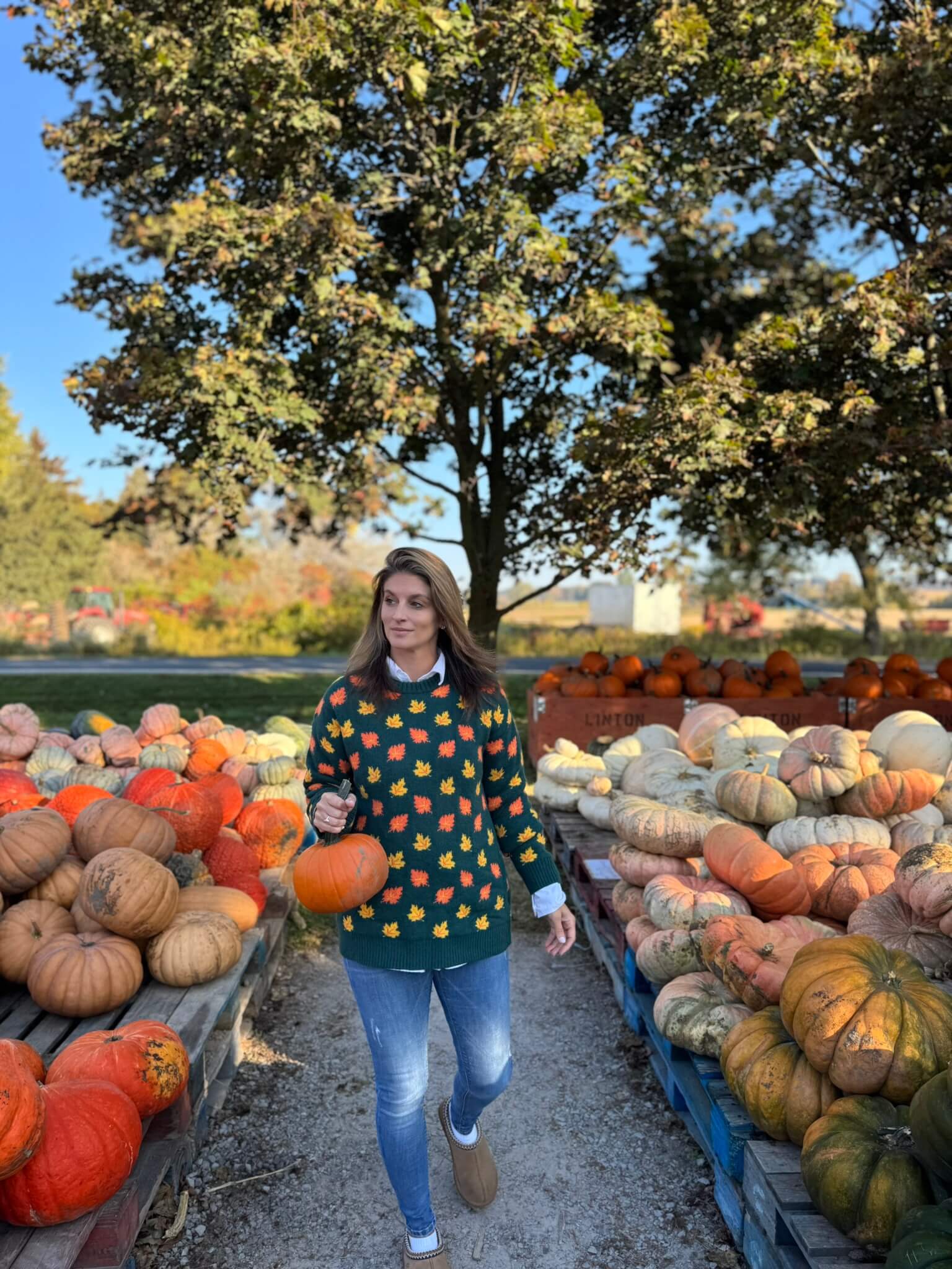 Fall Leaves sweater; durham region fall farms; pumpkin patch durham region; Linton Farm Durham Region; mandy furnis sparkleshinylove