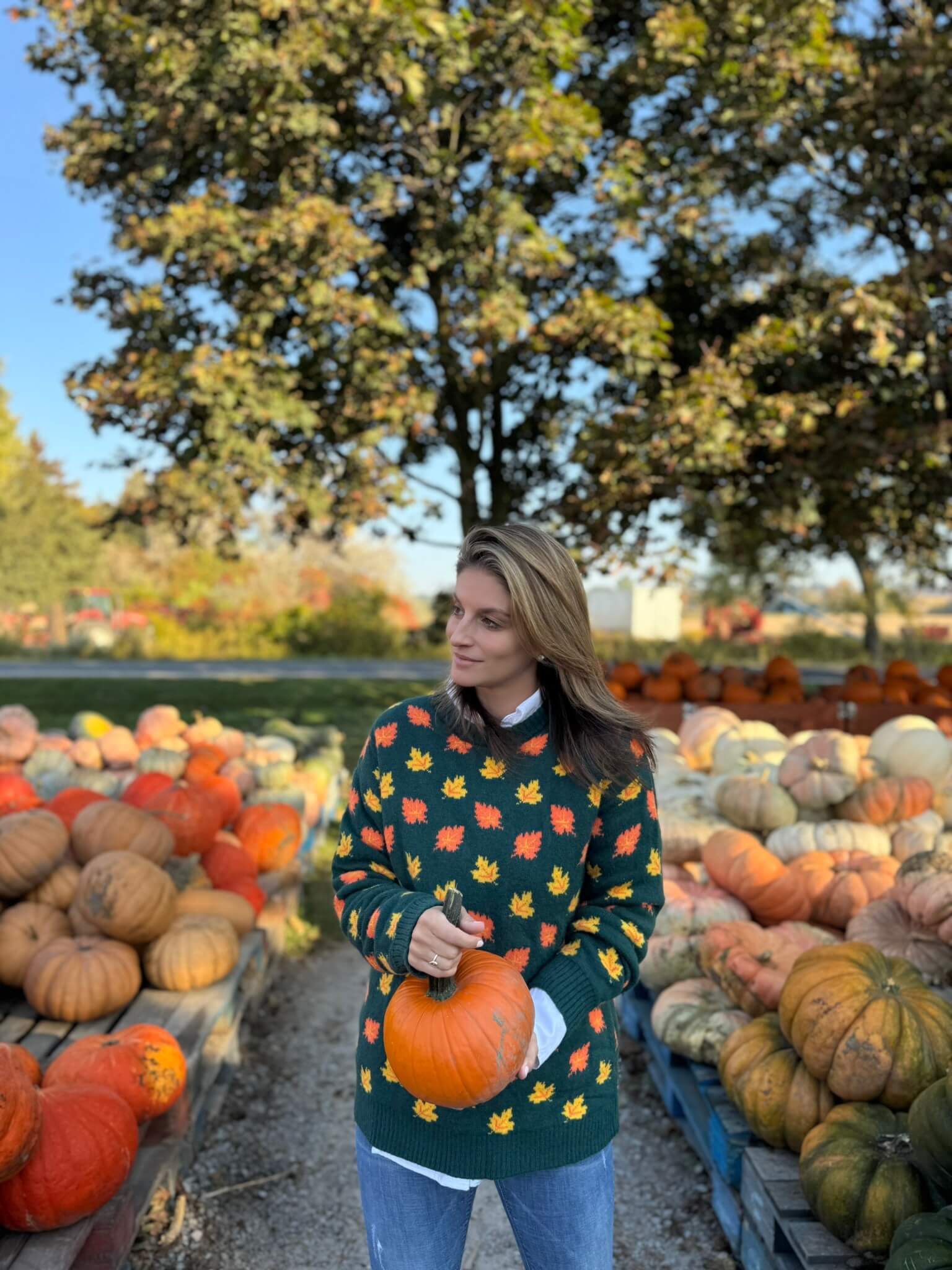 Fall Leaves sweater; durham region fall farms; pumpkin patch durham region; Linton Farm Durham Region; mandy furnis sparkleshinylove