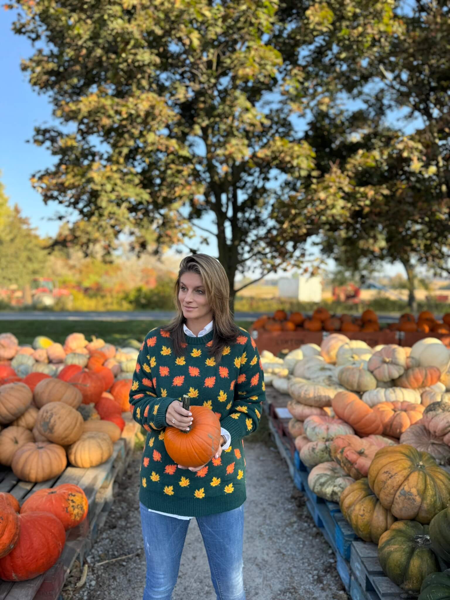 Fall Leaves sweater; durham region fall farms; pumpkin patch durham region; Linton Farm Durham Region; mandy furnis sparkleshinylove
