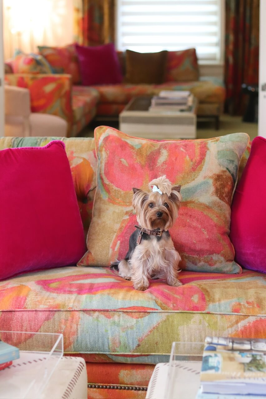 Review of our stay at 33 Main in Lenox, massachusetts; The Berkshires; Travelling with a dog to 33 Main